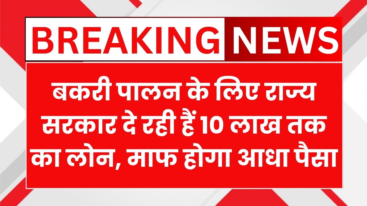Goat Farming Loan Scheme 2025