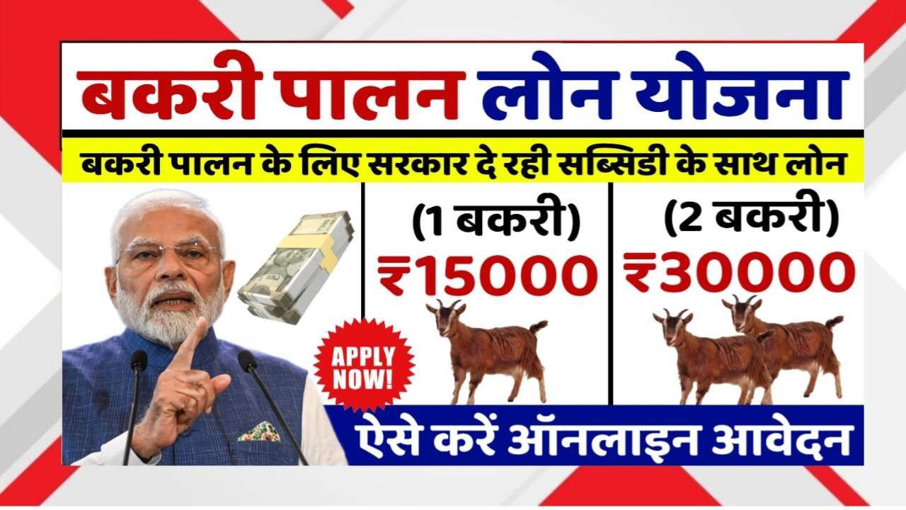 Bakri Palan Loan Yojana 2025